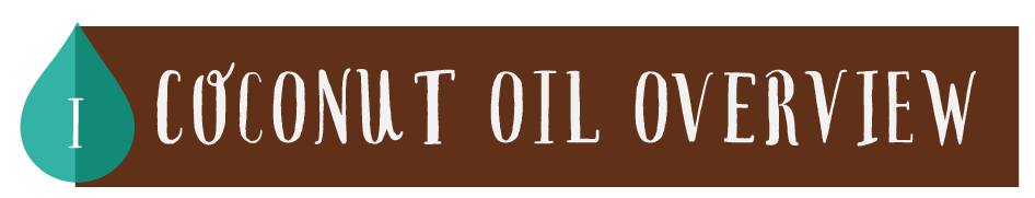 coconut oil overview
