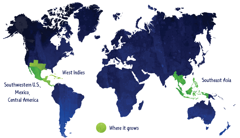 worldmap