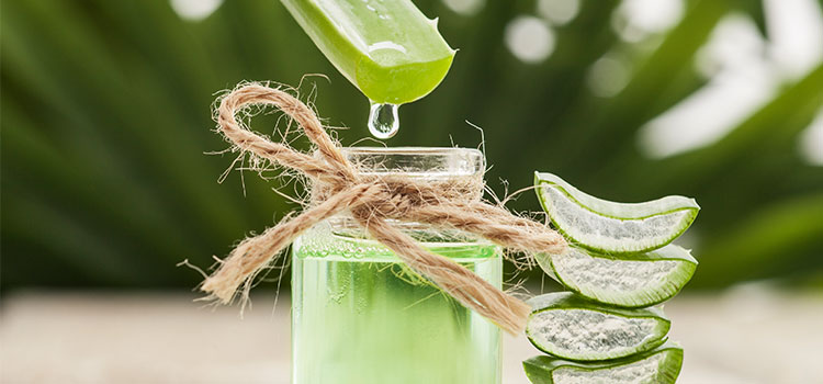 aloe vera leaf juice dripping into jar