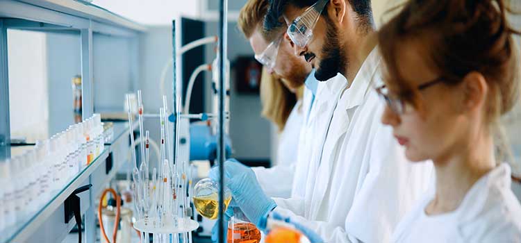 group of lab workers creating tests